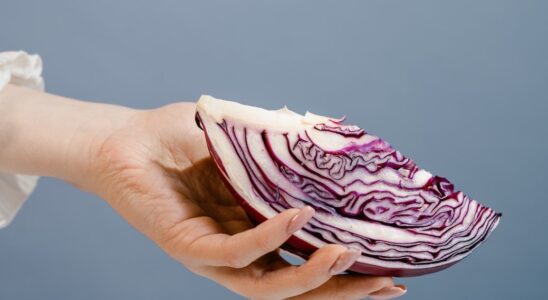 przygotowanie czerwonej kapusty